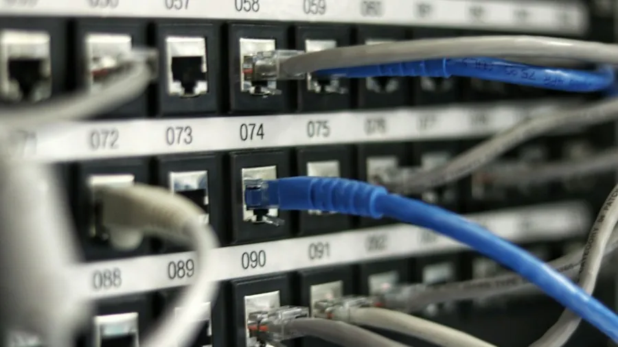 Network cables in a patch panel